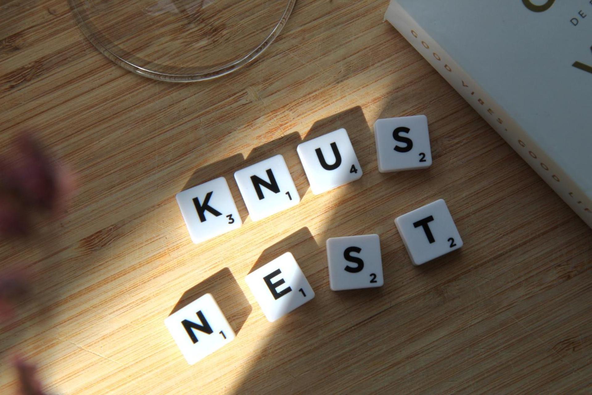 Buitenverblijf Nest 阿纳姆 外观 照片